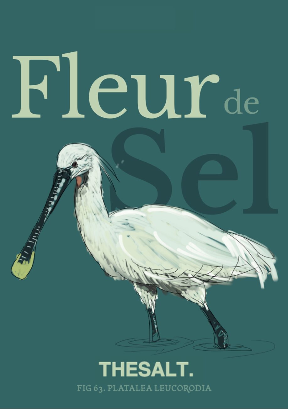 Fleur de Sel — THESALT.